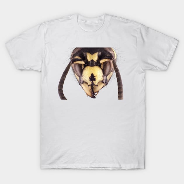 Wasp head T-Shirt by SDym Photography